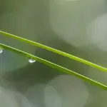 Hvordan vedligeholder jeg mit vinduespudsersæt?